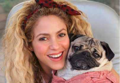 shakira z mopsem shakira z mopsem