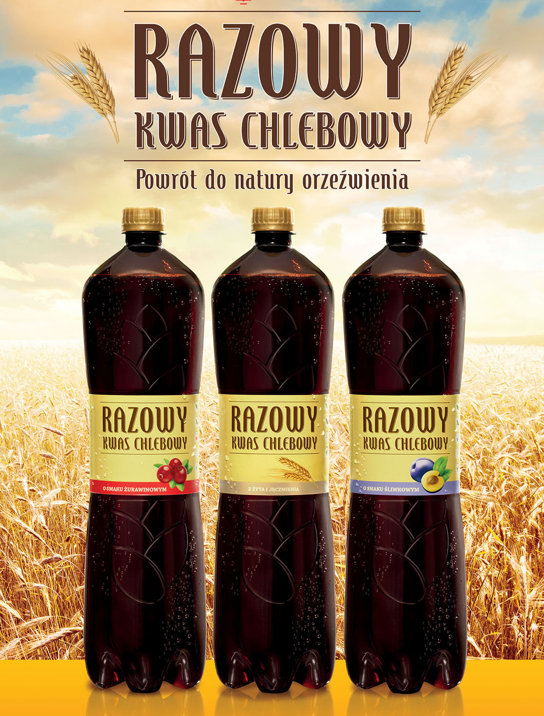 Razowy Kwas Chlebowy - naturalny napój na bazie zbóż - Wizaz.pl