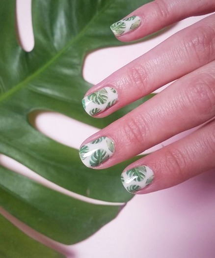 Modny manicure na lato: liście Monstery Wzór liści Montery na paznokciach