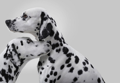 La Roche Posay Zostań Skin Checkerem La Roche Posay Zostań Skin Checkerem