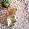 Zdjęcie do recenzji Woda perfumowana Avon Maxima od użytkownika Patii1207