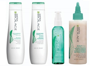 SCALPSYNC Matrix Biolage SCALPSYNC Matrix Biolage
