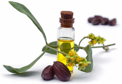 olej jojoba na włosy olej jojoba na włosy