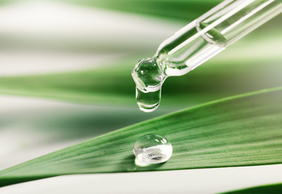 olejek eukaliptusowy działanie inhalacje aromaterapia ból mięśni ból głowy ból reumatyczny trądzik olejek eukaliptusowy działanie inhalacje aromaterapia ból mięśni ból głowy ból reumatyczny trądzik